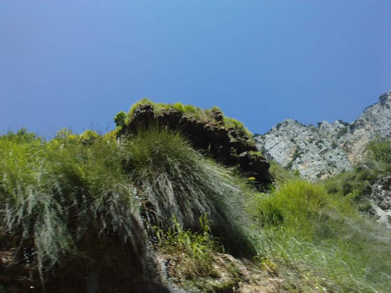 6_1323040892.jpg